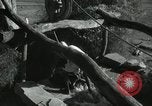 Image of Farm activities India, 1961, second 12 stock footage video 65675067724