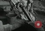 Image of Farm activities India, 1961, second 13 stock footage video 65675067724