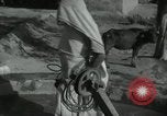 Image of Farm activities India, 1961, second 14 stock footage video 65675067724
