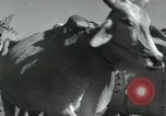 Image of Farm activities India, 1961, second 22 stock footage video 65675067724
