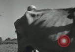 Image of Farm activities India, 1961, second 23 stock footage video 65675067724