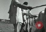 Image of Farm activities India, 1961, second 25 stock footage video 65675067724