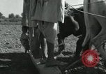 Image of Farm activities India, 1961, second 26 stock footage video 65675067724