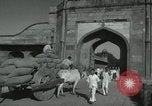Image of Farm activities India, 1961, second 40 stock footage video 65675067724