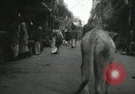 Image of Farm activities India, 1961, second 48 stock footage video 65675067724