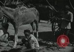 Image of Indian people India, 1961, second 32 stock footage video 65675067725