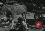 Image of Indian people India, 1961, second 33 stock footage video 65675067725