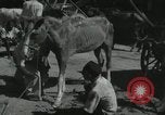 Image of Indian people India, 1961, second 34 stock footage video 65675067725