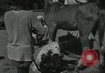 Image of Indian people India, 1961, second 35 stock footage video 65675067725