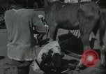 Image of Indian people India, 1961, second 36 stock footage video 65675067725