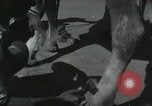 Image of Indian people India, 1961, second 37 stock footage video 65675067725