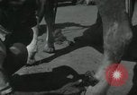 Image of Indian people India, 1961, second 38 stock footage video 65675067725