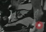 Image of Indian people India, 1961, second 39 stock footage video 65675067725