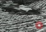 Image of people worship India, 1961, second 38 stock footage video 65675067726
