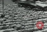 Image of people worship India, 1961, second 39 stock footage video 65675067726