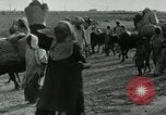 Immagine di Pandit Jawaharlal Nehru India, 1949, secondo 25 filmato di repertorio 65675067729