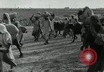 Immagine di Pandit Jawaharlal Nehru India, 1949, secondo 26 filmato di repertorio 65675067729