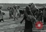 Immagine di Pandit Jawaharlal Nehru India, 1949, secondo 27 filmato di repertorio 65675067729