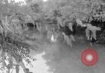 Standbild Menschen und biblischen Kunst Palästina, 1936, aus Sekunde 10 historischem Filmmaterial Videoclip 65675067735