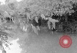 Standbild Menschen und biblischen Kunst Palästina, 1936, aus Sekunde 15 historischem Filmmaterial Videoclip 65675067735