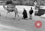Standbild Menschen und biblischen Kunst Jericho Palästina, 1936, aus Sekunde 25 historischem Filmmaterial Videoclip 65675067736