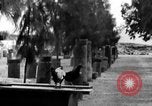 Immagine di Monumenti danneggiati Cafarnao Palestina, 1936, secondo 6 filmato di repertorio 65675067738