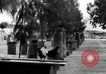 Immagine di Monumenti danneggiati Cafarnao Palestina, 1936, secondo 7 filmato di repertorio 65675067738