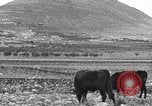 Immagine di Il Monte Tabor Palestina, 1936, secondo 5 filmato di repertorio 65675067740