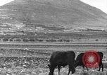 Immagine di Il Monte Tabor Palestina, 1936, secondo 6 filmato di repertorio 65675067740