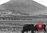 Immagine di Il Monte Tabor Palestina, 1936, secondo 7 filmato di repertorio 65675067740