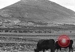 Immagine di Il Monte Tabor Palestina, 1936, secondo 8 filmato di repertorio 65675067740