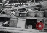 Standbild Krieg Branchen United States USA, 1944, aus Sekunde 34 historischem Filmmaterial Videoclip 65675067751