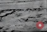 Image of World War II Asia, 1944, second 6 stock footage video 65675067755