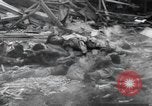 Image of World War II Asia, 1944, second 46 stock footage video 65675067755