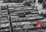 Image of factories Soviet Union, 1944, second 9 stock footage video 65675067759