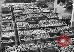 Image of factories Soviet Union, 1944, second 10 stock footage video 65675067759