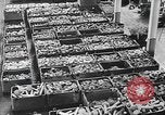 Image of factories Soviet Union, 1944, second 11 stock footage video 65675067759