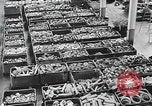 Image of factories Soviet Union, 1944, second 12 stock footage video 65675067759