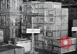 Image of war equipment United States USA, 1943, second 8 stock footage video 65675067762