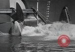 Image of war equipment United States USA, 1943, second 59 stock footage video 65675067762