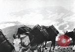 Image of war equipment Pacific Theater, 1944, second 56 stock footage video 65675067763