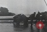 Image of American Marines landing and moving inland Guadalcanal Solomon Islands, 1942, second 55 stock footage video 65675067764