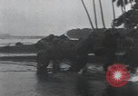 Image of American Marines landing and moving inland Guadalcanal Solomon Islands, 1942, second 57 stock footage video 65675067764