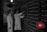 Image of Cutter laboratory Berkeley California USA, 1955, second 9 stock footage video 65675067767