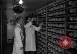 Image of Cutter laboratory Berkeley California USA, 1955, second 10 stock footage video 65675067767