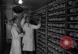 Image of Cutter laboratory Berkeley California USA, 1955, second 11 stock footage video 65675067767