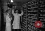 Image of Cutter laboratory Berkeley California USA, 1955, second 12 stock footage video 65675067767