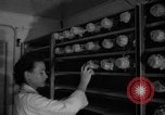 Image of Cutter laboratory Berkeley California USA, 1955, second 13 stock footage video 65675067767