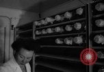 Image of Cutter laboratory Berkeley California USA, 1955, second 14 stock footage video 65675067767