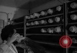 Image of Cutter laboratory Berkeley California USA, 1955, second 15 stock footage video 65675067767